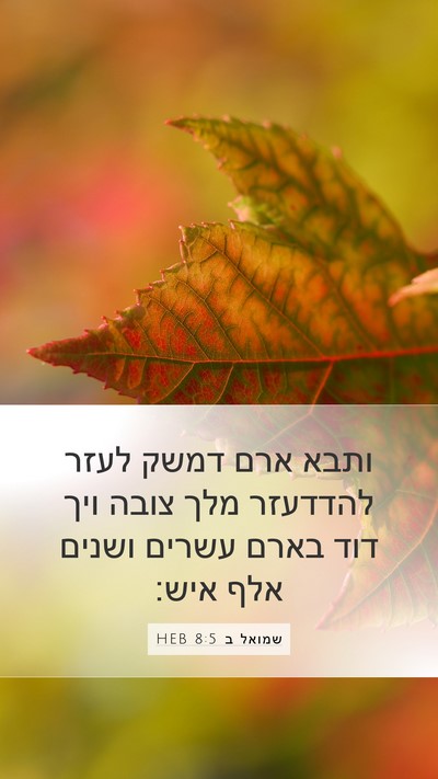 שמואל ב 8:5 HEB Mobile Phone Wallpaper - ותבא ארם דמשק לעזר להדדעזר - Mobile Bible Verse Wallpaper