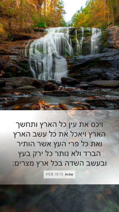 שמות 10:15 HEB Bible Verse Image