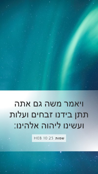 שמות 10:25 HEB Bible Verse Image