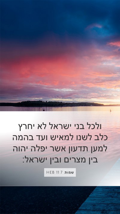 שמות 11:7 HEB Bible Verse Image