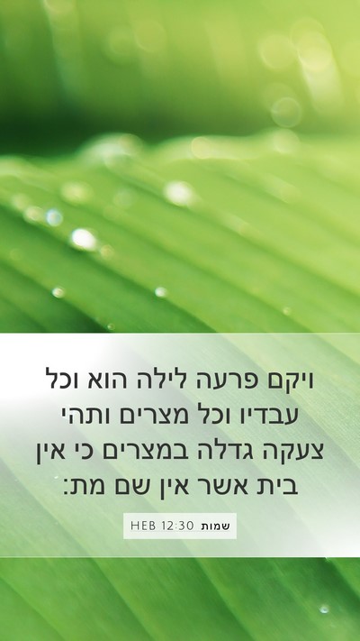 שמות 12:30 HEB Bible Verse Image