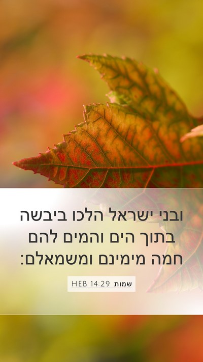 שמות 14:29 HEB Bible Verse Image