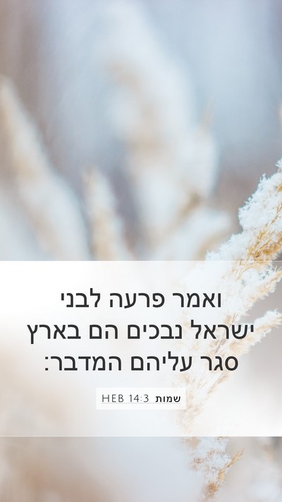 שמות 14:3 HEB Bible Verse Image