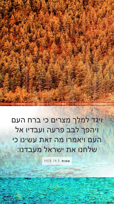 שמות 14:5 HEB Bible Verse Image