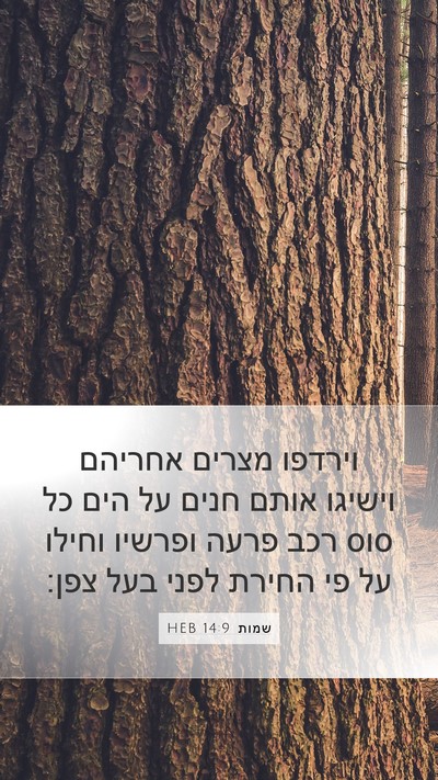 שמות 14:9 HEB Bible Verse Image