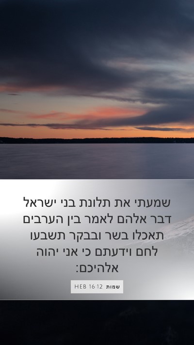 שמות 16:12 HEB Bible Verse Image