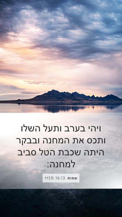 שמות 16:13 HEB Bible Verse Image