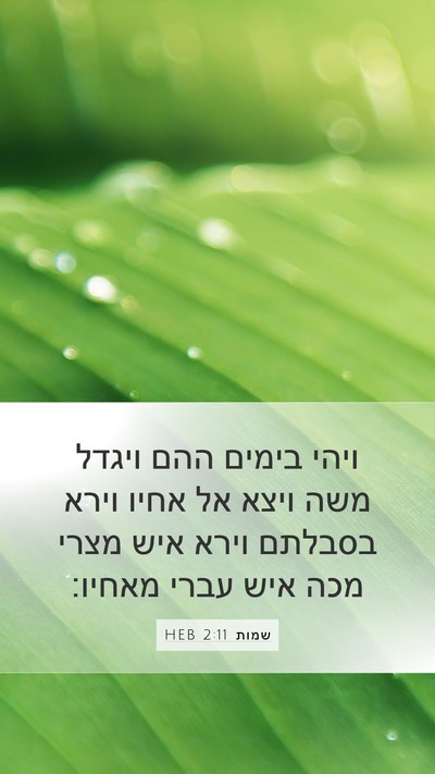 שמות 2:11 HEB Bible Verse Image