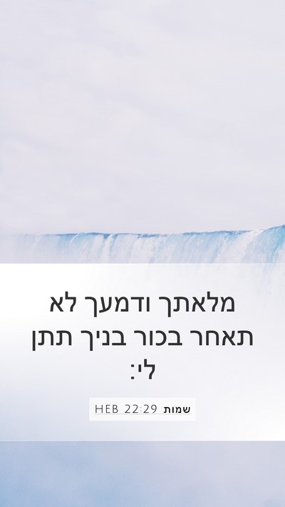 שמות 22:29 HEB Bible Verse Image
