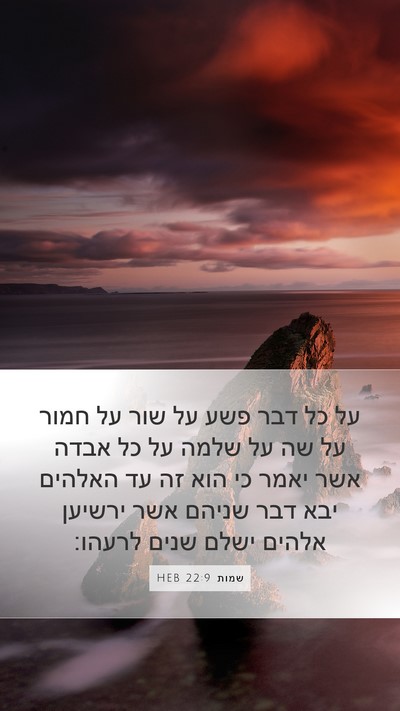 שמות 22:9 HEB Bible Verse Image