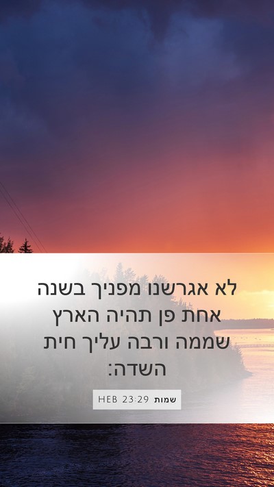 שמות 23:29 HEB Bible Verse Image