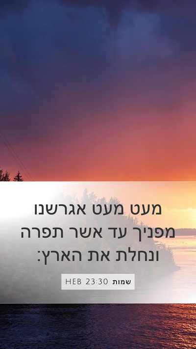 שמות 23:30 HEB Bible Verse Image