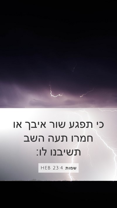 שמות 23:4 HEB Bible Verse Image
