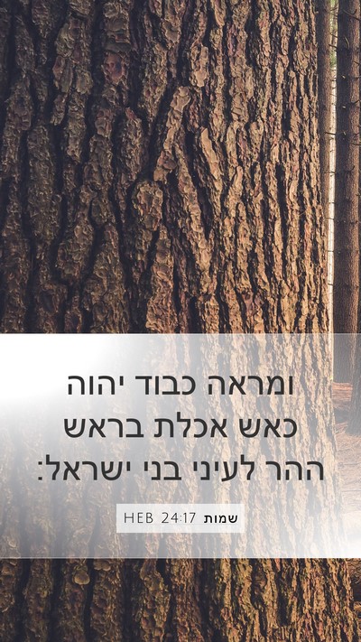שמות 24:17 HEB Bible Verse Image