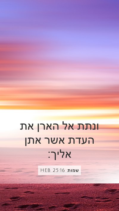 שמות 25:16 HEB Bible Verse Image