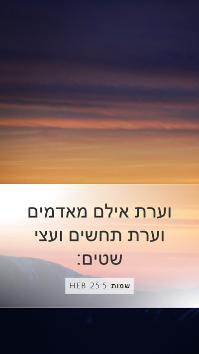 שמות 25:5 HEB Bible Verse Image