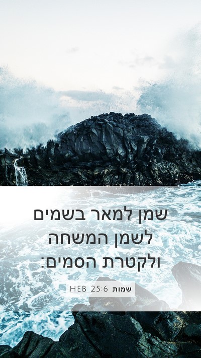 שמות 25:6 HEB Bible Verse Image