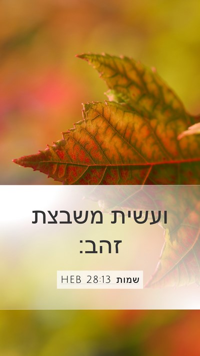 שמות 28:13 HEB Bible Verse Image
