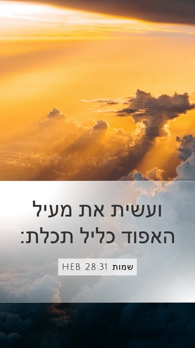 שמות 28:31 HEB Mobile Phone Wallpaper - ועשית את מעיל האפוד כליל - Mobile Bible Verse Wallpaper