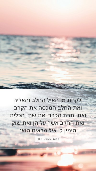 שמות 29:22 HEB Bible Verse Image