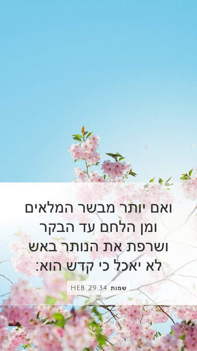 שמות 29:34 HEB Bible Verse Image