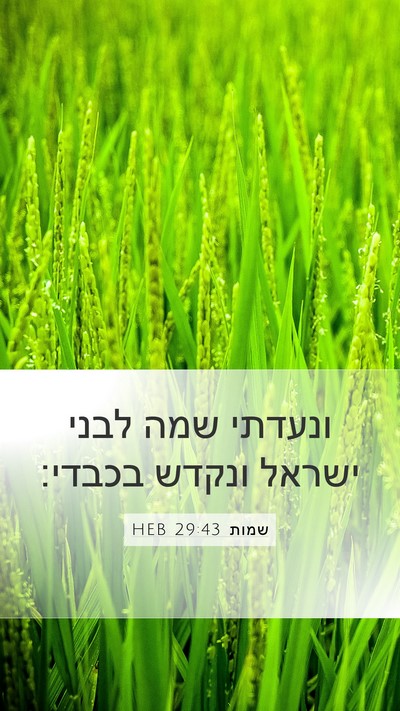 שמות 29:43 HEB Bible Verse Image