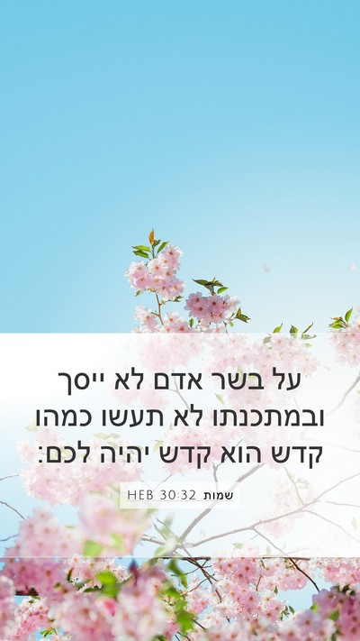 שמות 30:32 HEB Mobile Phone Wallpaper - על בשר אדם לא ייסך ובמתכנתו - Mobile Bible Verse Wallpaper
