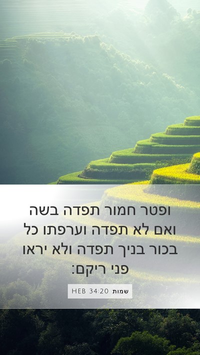 שמות 34:20 HEB Bible Verse Image