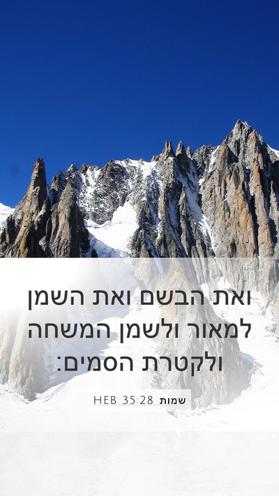 שמות 35:28 HEB Mobile Phone Wallpaper - ואת הבשם ואת השמן למאור - Mobile Bible Verse Wallpaper