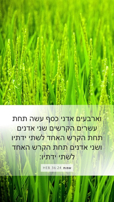 שמות 36:24 HEB Bible Verse Image