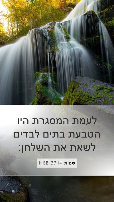 שמות 37:14 HEB Mobile Phone Wallpaper - לעמת המסגרת היו הטבעת בתים - Mobile Bible Verse Wallpaper