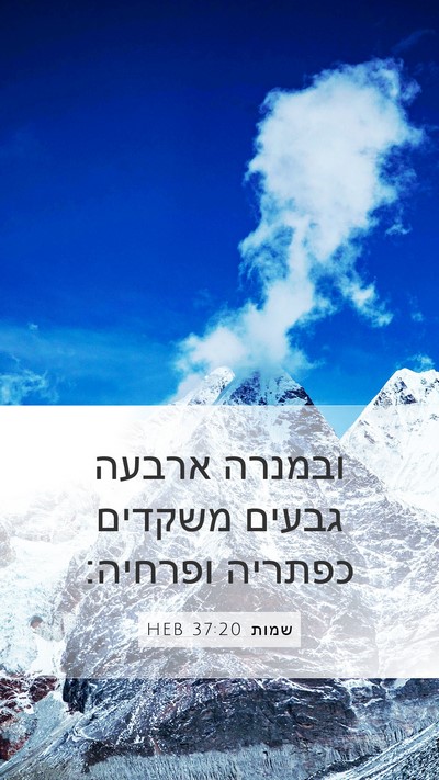 שמות 37:20 HEB Bible Verse Image