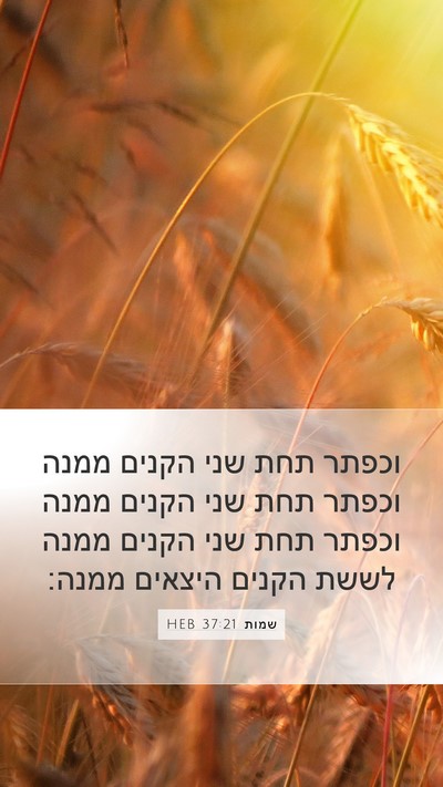 שמות 37:21 HEB Mobile Phone Wallpaper - וכפתר תחת שני הקנים ממנה - Mobile Bible Verse Wallpaper
