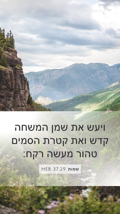 שמות 37:29 HEB Mobile Phone Wallpaper - ויעש את שמן המשחה קדש ואת - Mobile Bible Verse Wallpaper