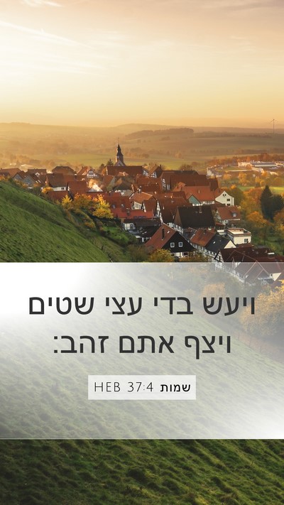 שמות 37:4 HEB Mobile Phone Wallpaper - ויעש בדי עצי שטים ויצף אתם - Mobile Bible Verse Wallpaper