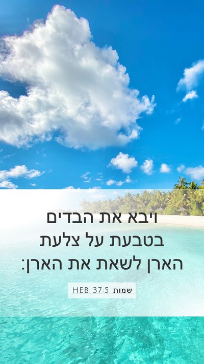 שמות 37:5 HEB Mobile Phone Wallpaper - ויבא את הבדים בטבעת על צלעת - Mobile Bible Verse Wallpaper