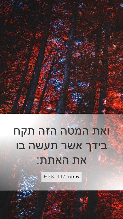 שמות 4:17 HEB Bible Verse Image