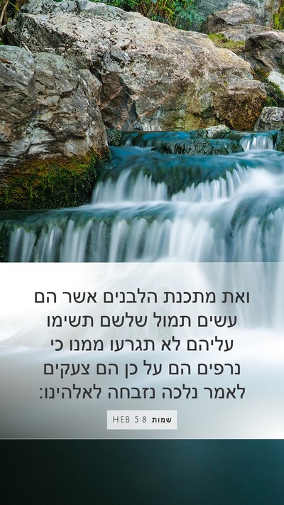 שמות 5:8 HEB Bible Verse Image