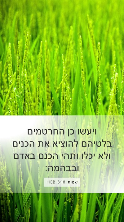 שמות 8:18 HEB Bible Verse Image