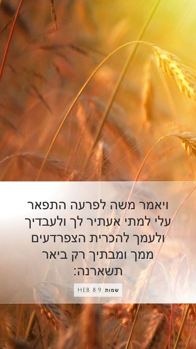 שמות 8:9 HEB Bible Verse Image