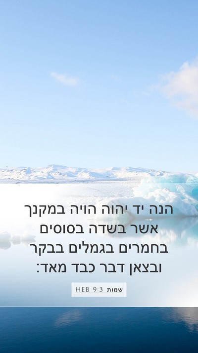 שמות 9:3 HEB Bible Verse Image