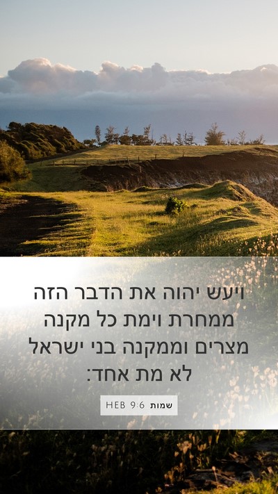שמות 9:6 HEB Bible Verse Image