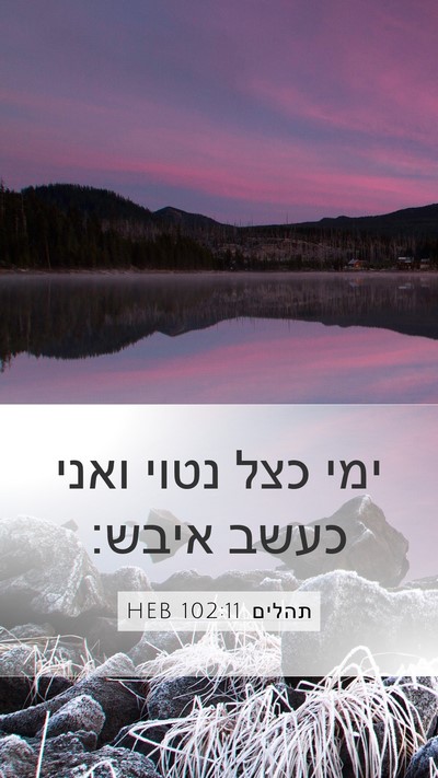 תהלים 102:11 HEB Bible Verse Image