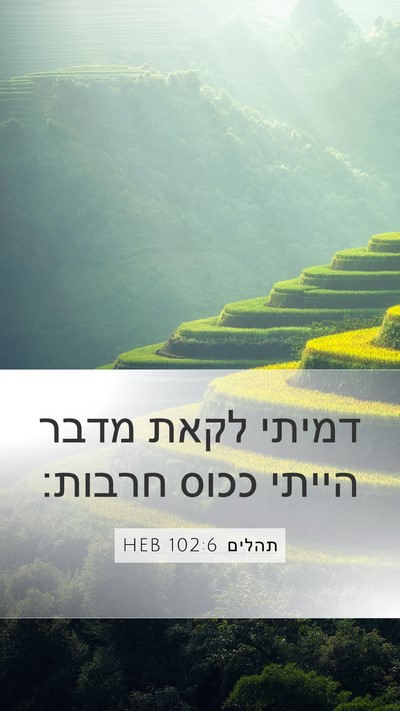 תהלים 102:6 HEB Bible Verse Image