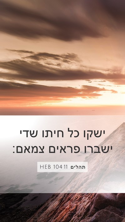 תהלים 104:11 HEB Bible Verse Image