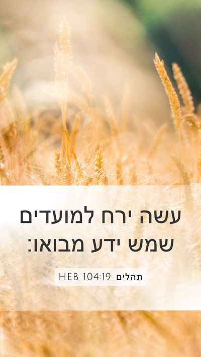 תהלים 104:19 HEB Bible Verse Image