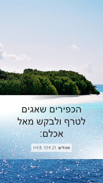 תהלים 104:21 HEB Bible Verse Image