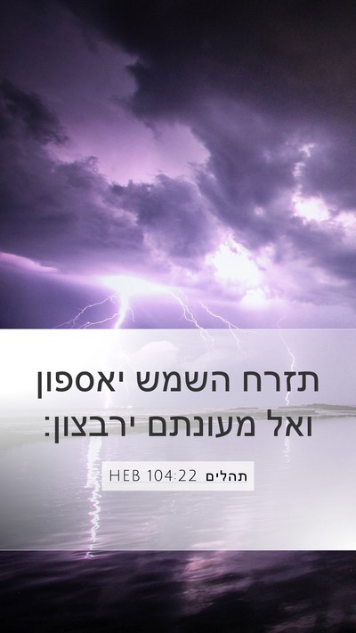 תהלים 104:22 HEB Bible Verse Image
