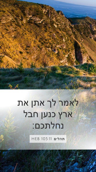 תהלים 105:11 HEB Bible Verse Image