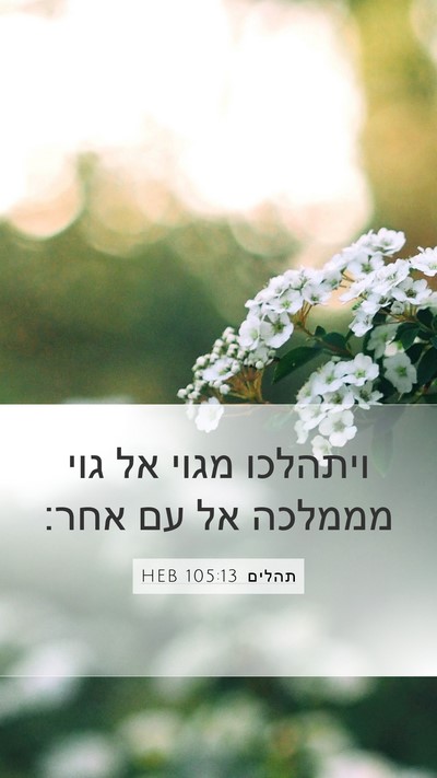 תהלים 105:13 HEB Bible Verse Image